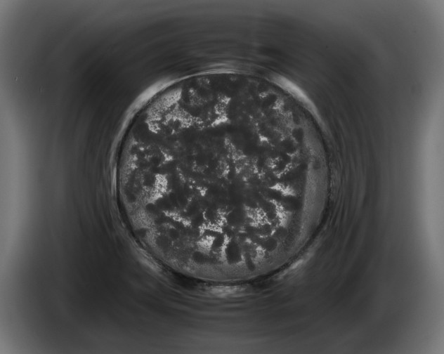 X0000086091419200704132115