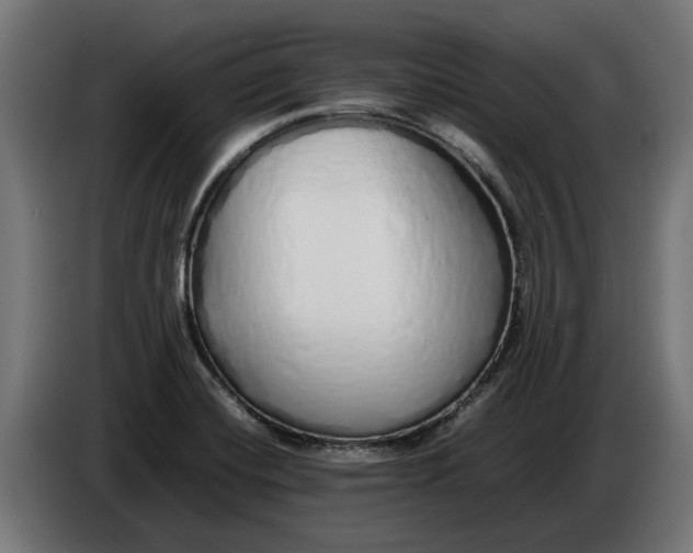 X0000086091420200704132115