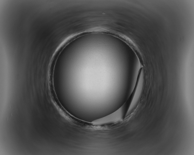 X0000086091422200704132115