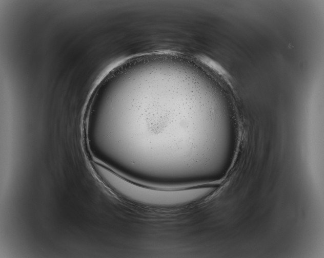 X0000086091423200704132115