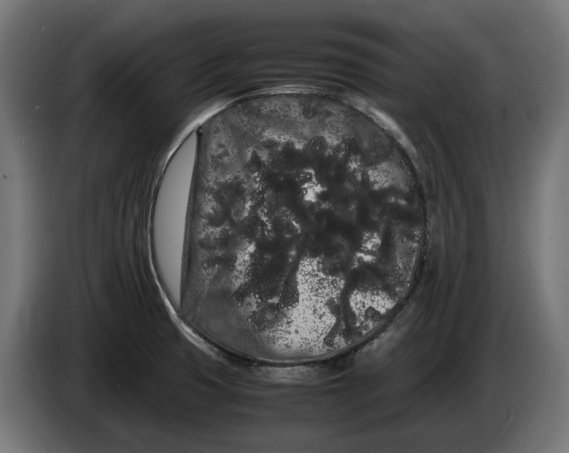 X0000086091425200704132115