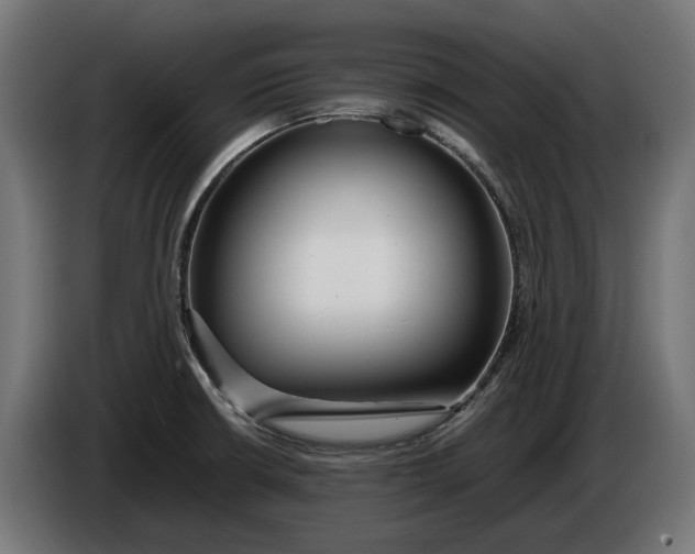 X0000086091426200704132115