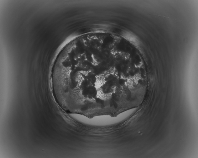 X0000086091427200704132115