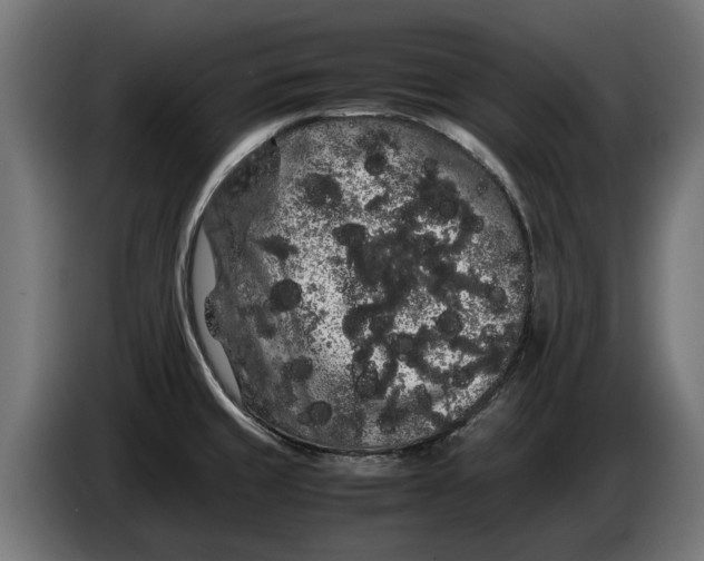 X0000086091429200704132115