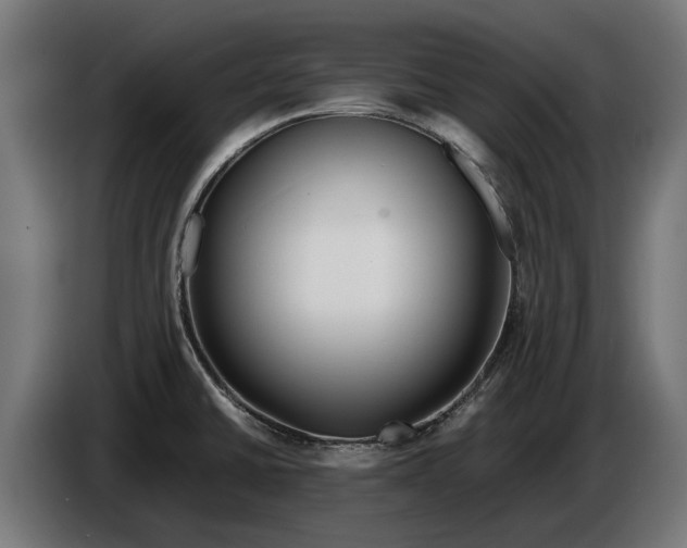 X0000086091430200704132115