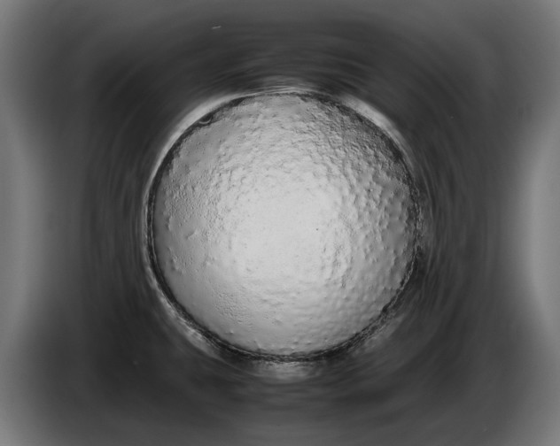 X0000086091431200704132115