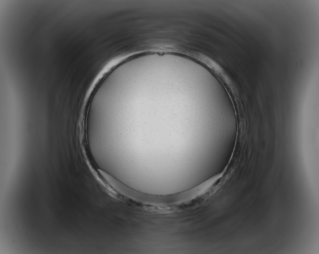 X0000086091432200704132115