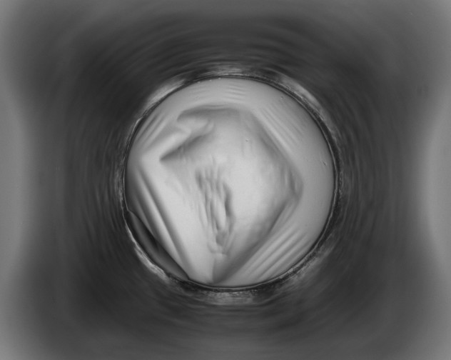 X0000086091433200704132115