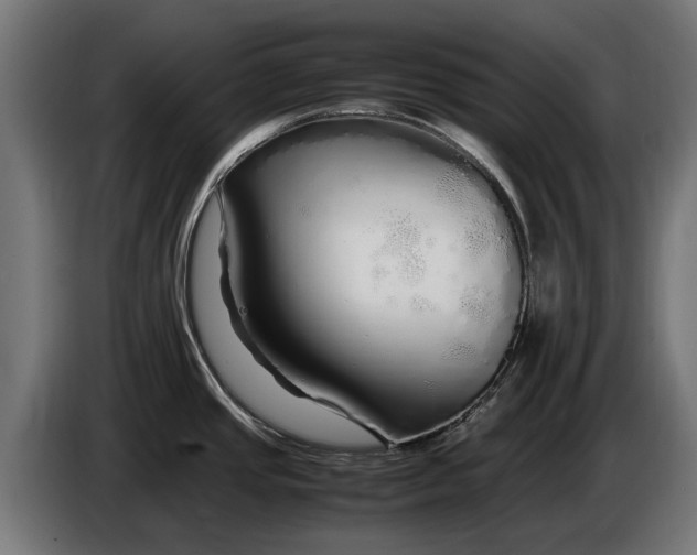 X0000086091437200704132115