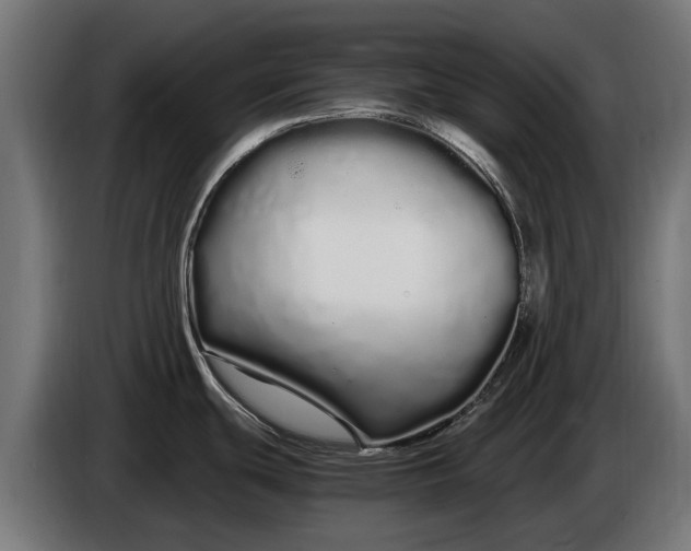 X0000086091439200704132116