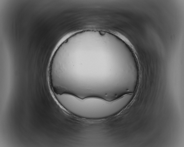 X0000086091440200704132116