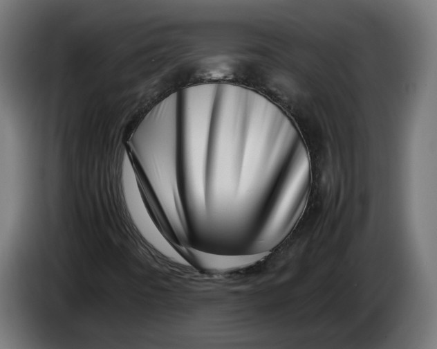 X0000086091442200704132115