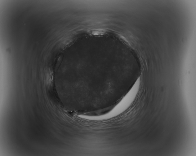 X0000086091443200704132115