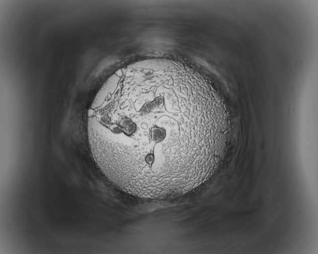 X0000086091446200704132115