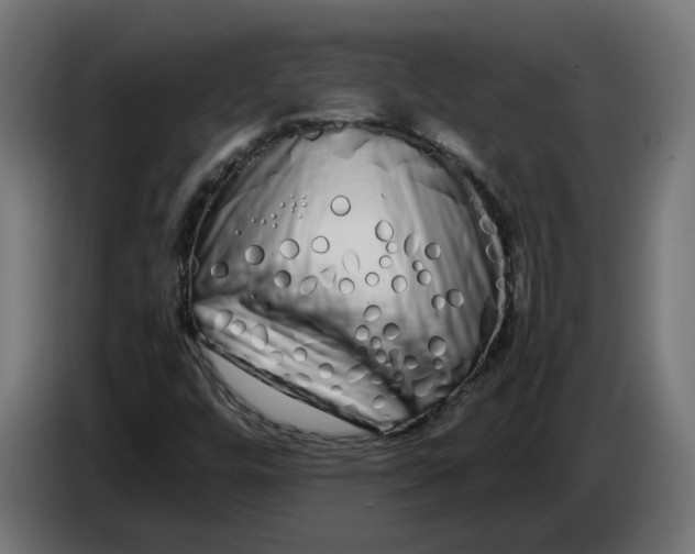 X0000086091448200704132115