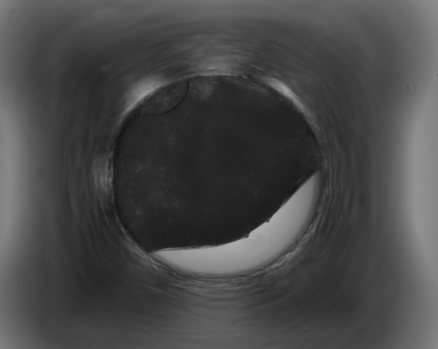 X0000086091450200704132115