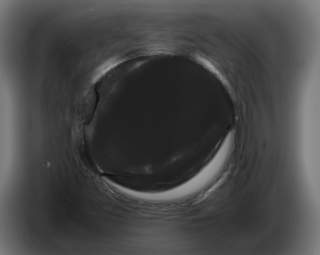 X0000086091453200704132115