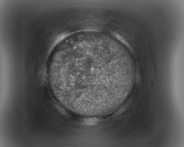 X0000086091454200704132115