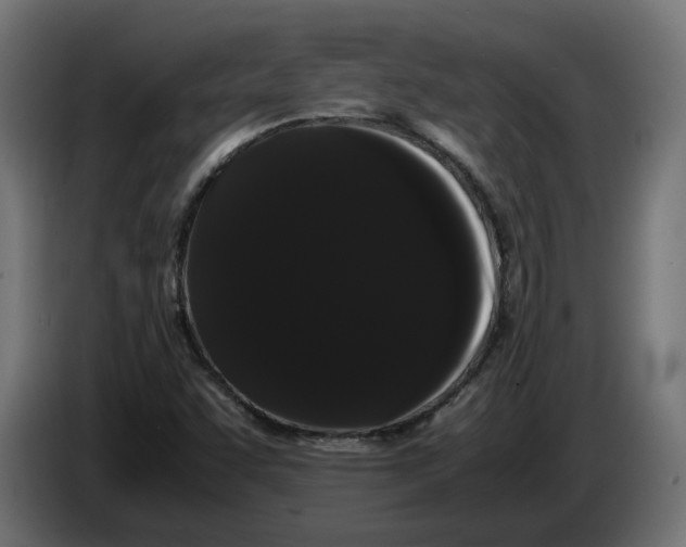 X0000086091455200704132115