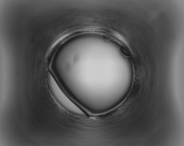 X0000086091456200704132115