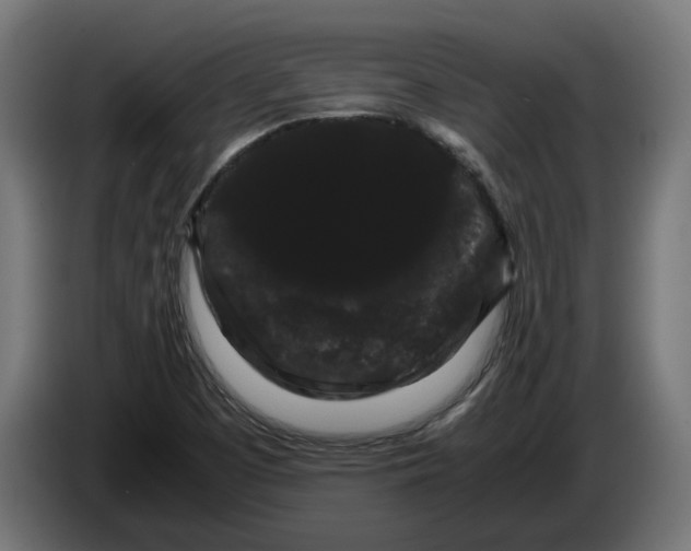 X0000086091457200704132115