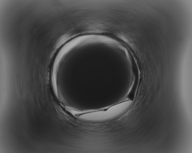 X0000086091459200704132115