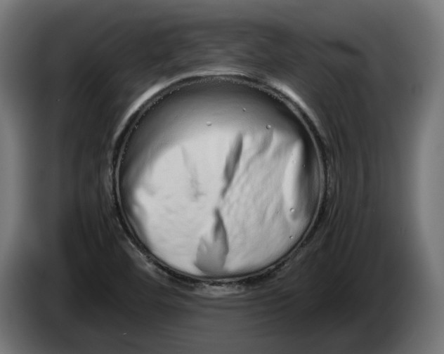 X0000086091460200704132115