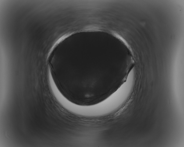 X0000086091461200704132115