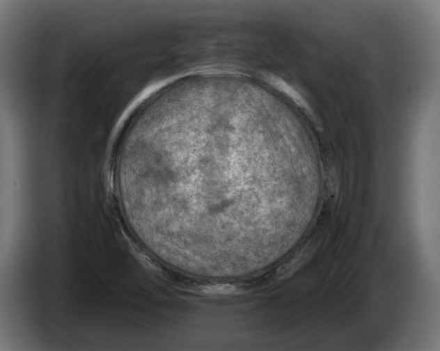 X0000086091462200704132115