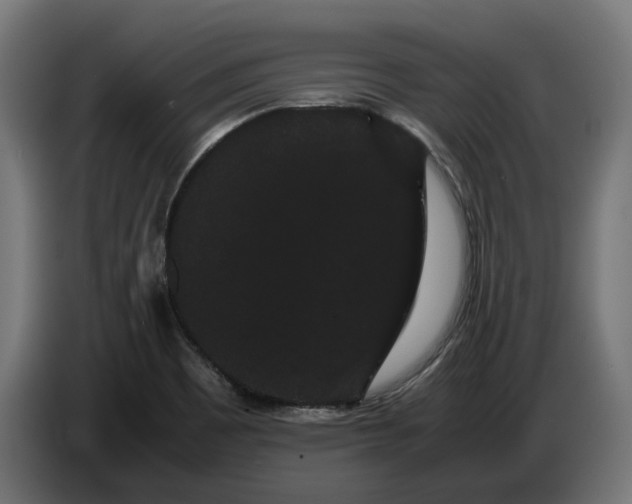 X0000086091465200704132115