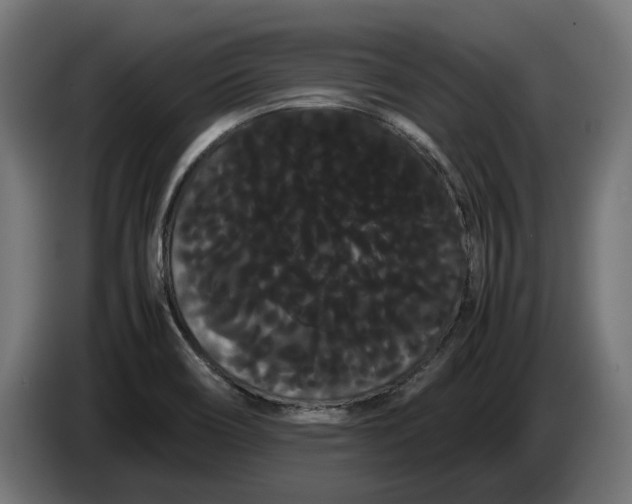 X0000086091466200704132114