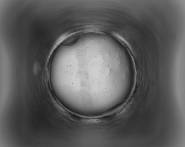 X0000086091467200704132114