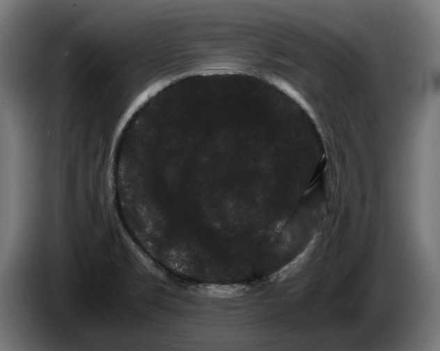 X0000086091469200704132114