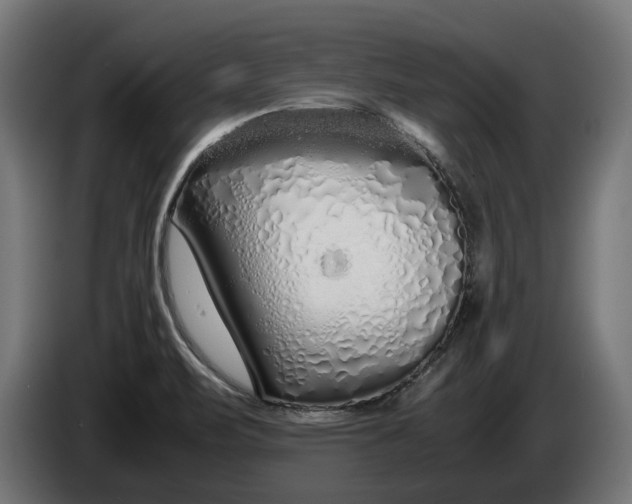 X0000086091471200704132114