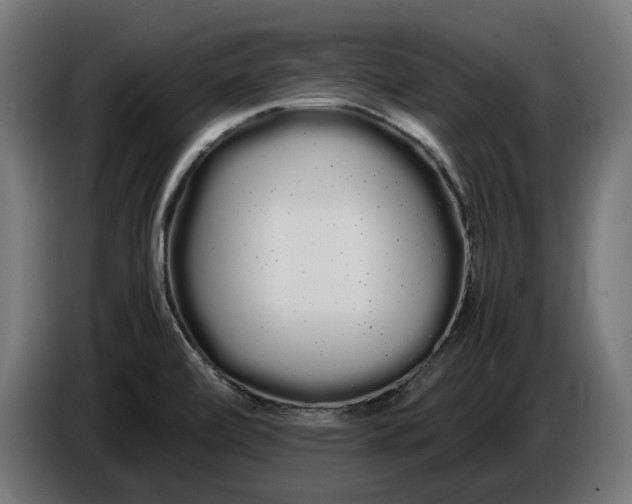 X0000086091472200704132114