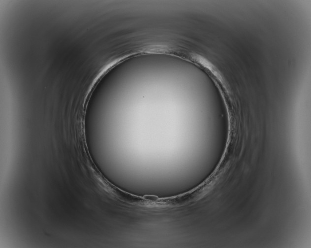 X0000086091473200704132114