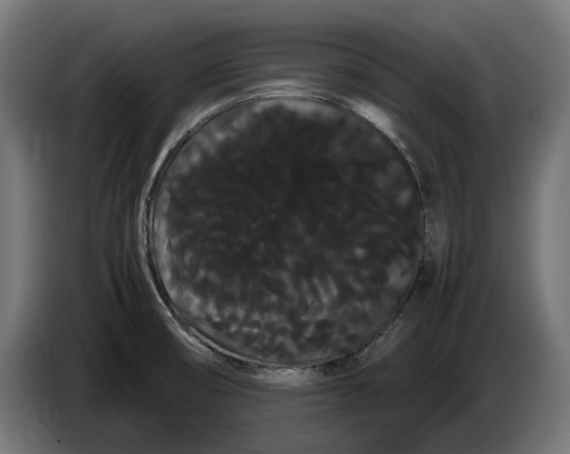 X0000086091474200704132114