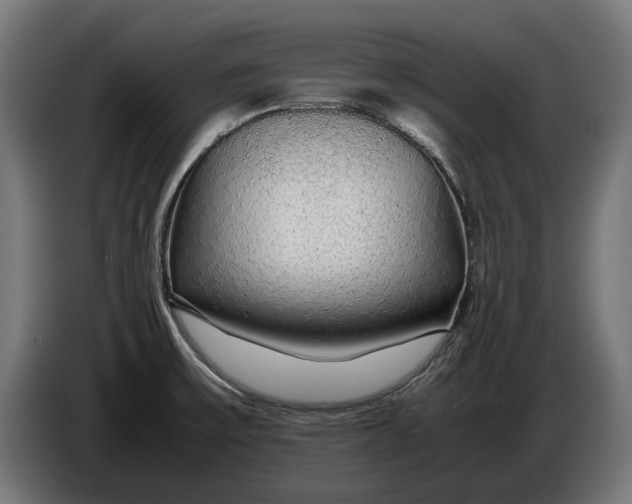 X0000086091475200704132114