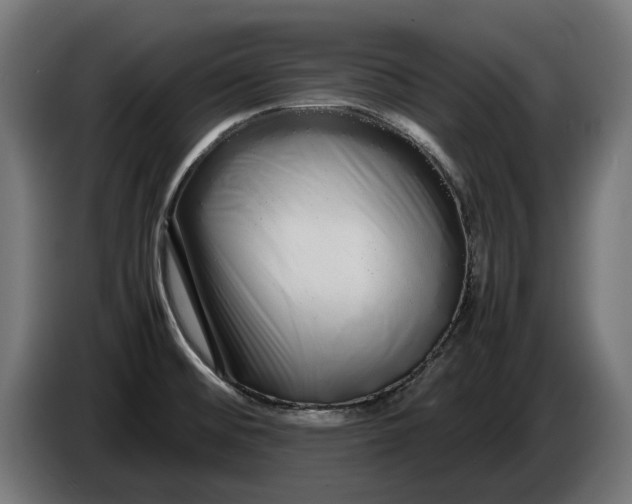 X0000086091476200704132114