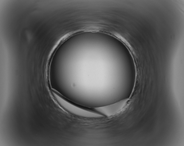 X0000086091477200704132114