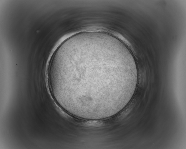 X0000086091478200704132114