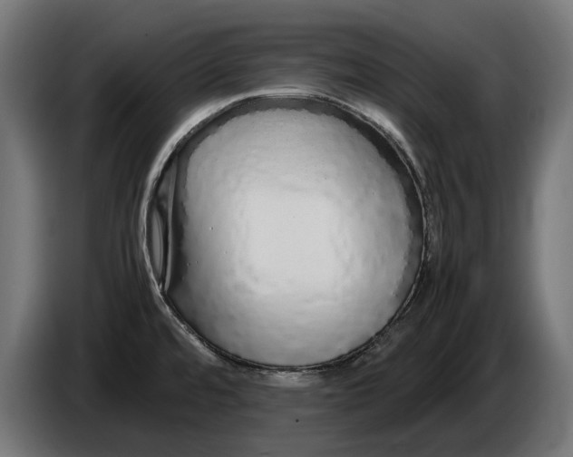 X0000086091480200704132114