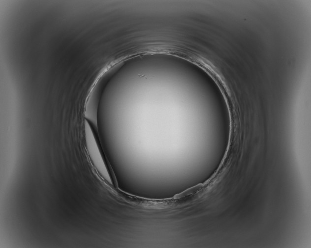 X0000086091481200704132114