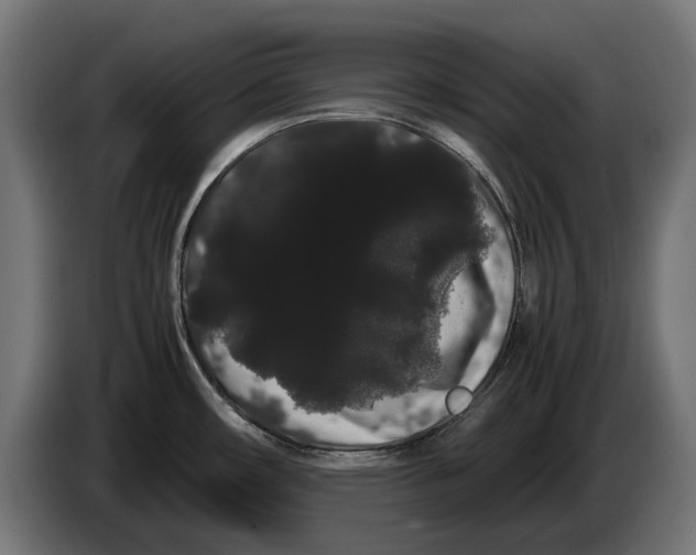 X0000086091482200704132114