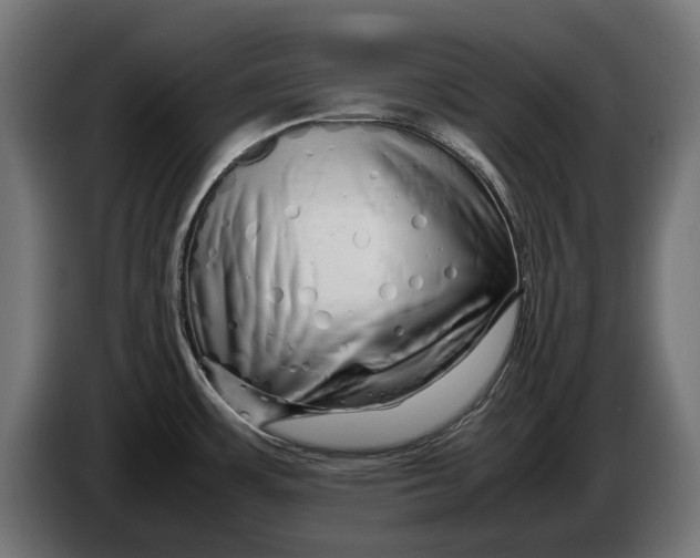 X0000086091483200704132114