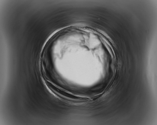 X0000086091484200704132114