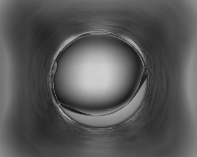 X0000086091485200704132114