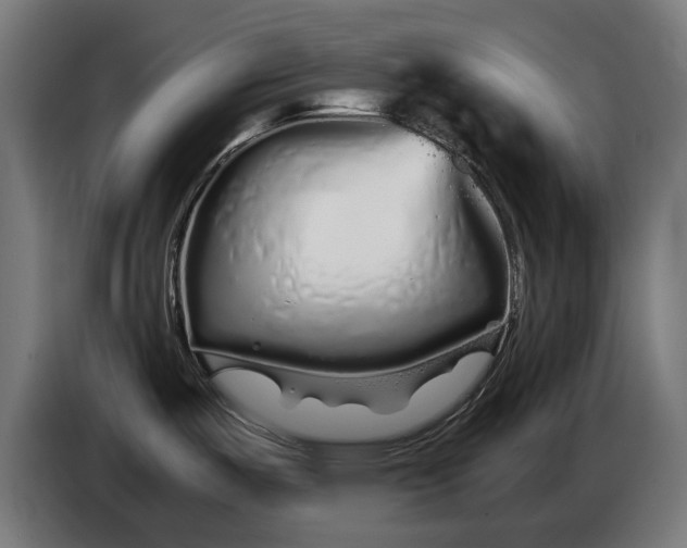 X0000086091487200704132114