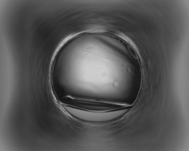 X0000086091488200704132114