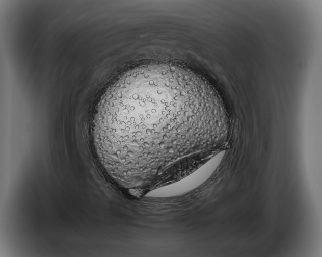 X0000086091489200704132114